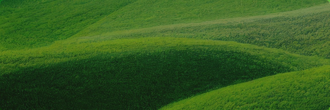 太阳城官网(中国)集团有限公司