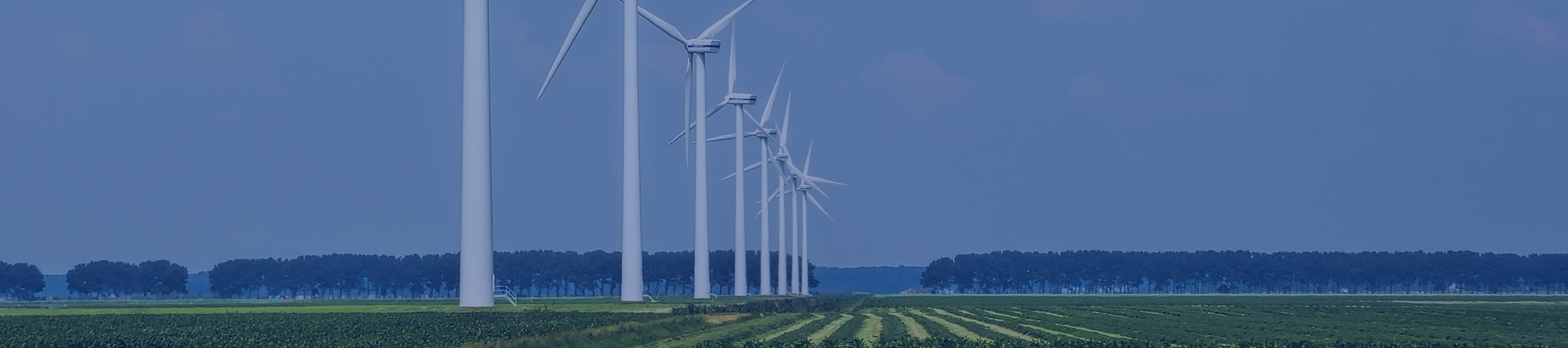 太阳城官网(中国)集团有限公司